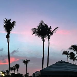 Meet your Posher, Alison